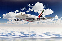 DSF-013N �W�I���}�V�[�gNEO [FREE ���Z�b�g]�̃��C�A�E�g�T���v���摜