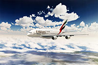 DSF-013N �W�I���}�V�[�gNEO [FREE ���Z�b�g]�̃��C�A�E�g�T���v���摜