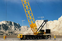 DSF-C001 �W�I���}�V�[�g [FREE �z�R�Z�b�g]���C�A�E�g�T���v��